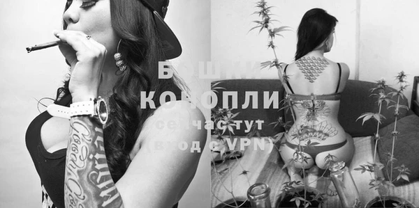 соль курить ск Наволоки