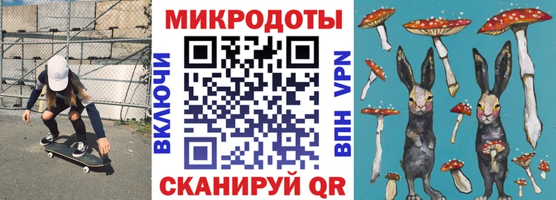 Псилоцибиновые грибы Psilocybine cubensis  Тюкалинск 