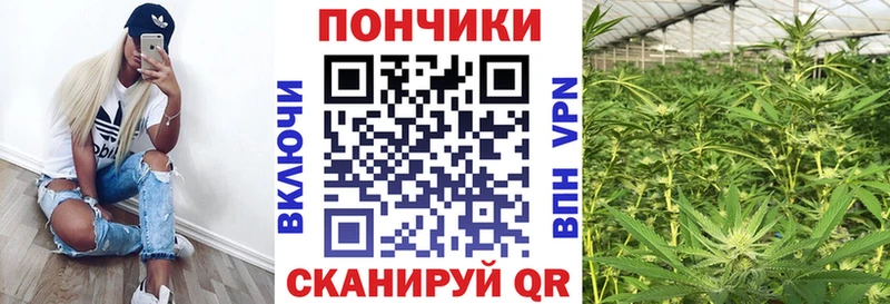 мега как войти  Тюкалинск  Бошки марихуана сатива 